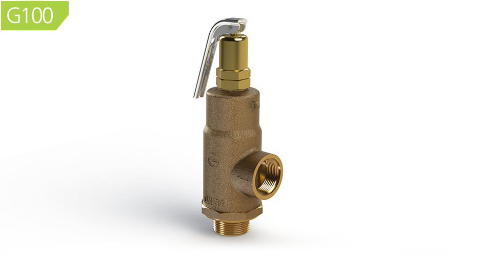 G100 High Lift Safety Relief Valves